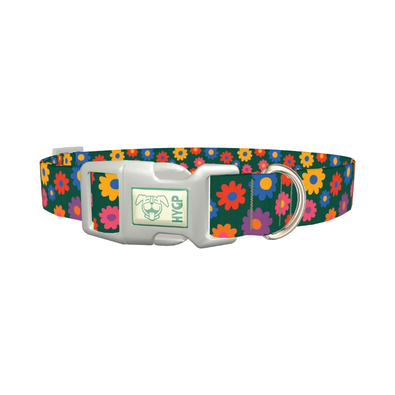 Floral Pattern Dog Collar - plastic silver