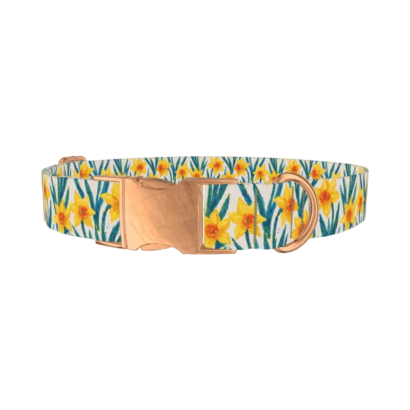 Yellow Daffodil Dog Collar - metal rose gold