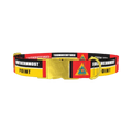 Key West Buoy Dog Collar - metal gold