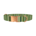 Green Striped Pattern Dog Collar - metal rose gold