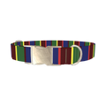Striped Pattern Dog Collar - metal silver