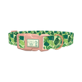 Tropical Jungle Leaves Dog Collar - plastic rose gold