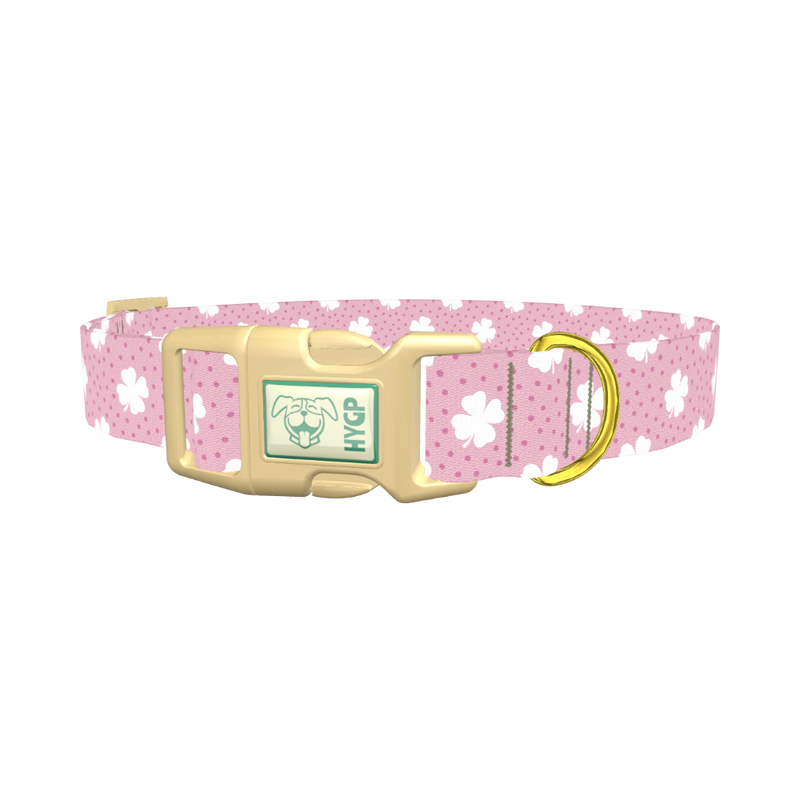Clover Dot Dog Collar - plastic gold