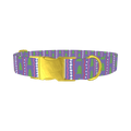 Christmas Tree Stripes Dog Collar - metal gold