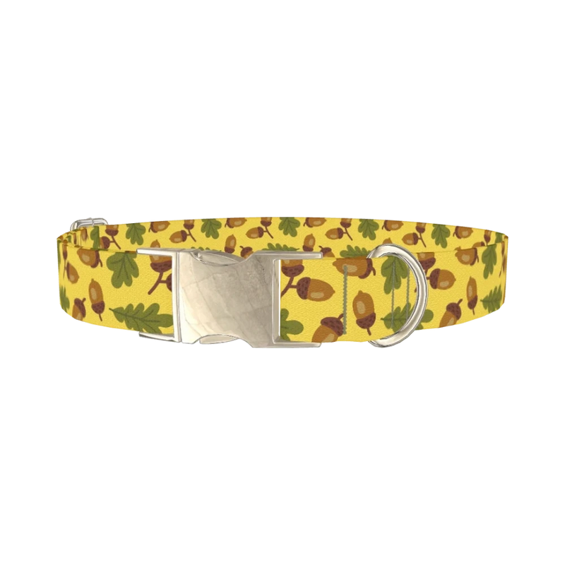 Fall Acorn Dog Collar - metal silver