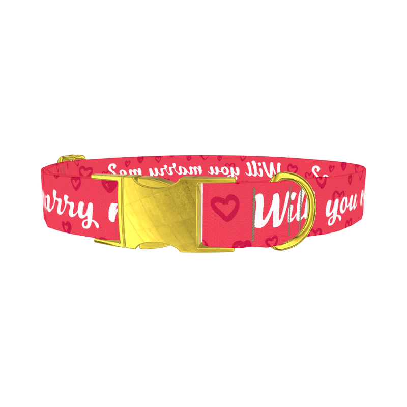 Heart Phrase Dog Collar - metal gold