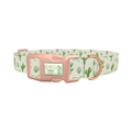 Green Cactus Landscape Dog Collar - plastic rose gold