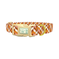 Chevron Geometric Dog Collar - plastic gold