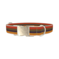 Autumn Stripes Dog Collar - metal silver