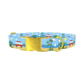Beach Vacation Dog Collar - metal gold