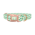 St. Patrick's Day Rainbow Dog Collar - plastic rose gold