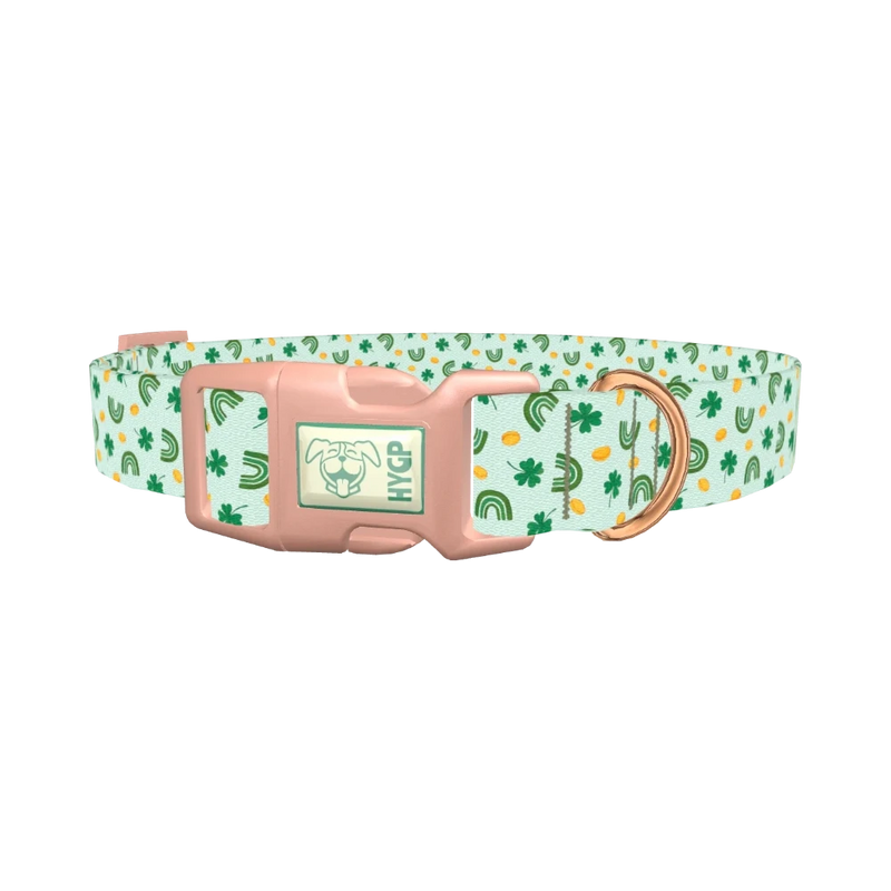 St. Patrick's Day Rainbow Dog Collar - plastic rose gold
