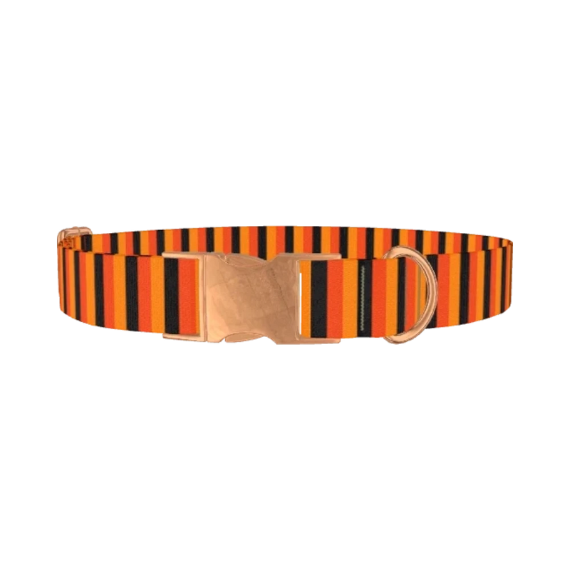 Halloween Stripe Dog Collar - metal rose gold