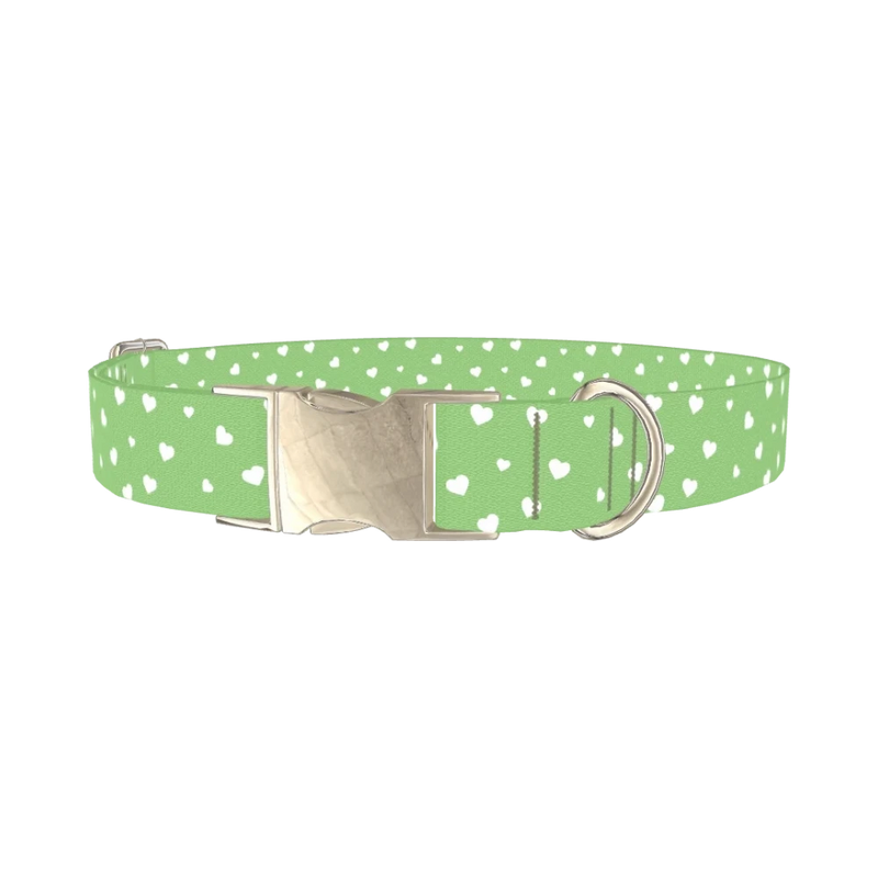 Green Heart Dog Collar - metal silver