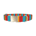 Red Turquoise Stripe Dog Collar - metal silver