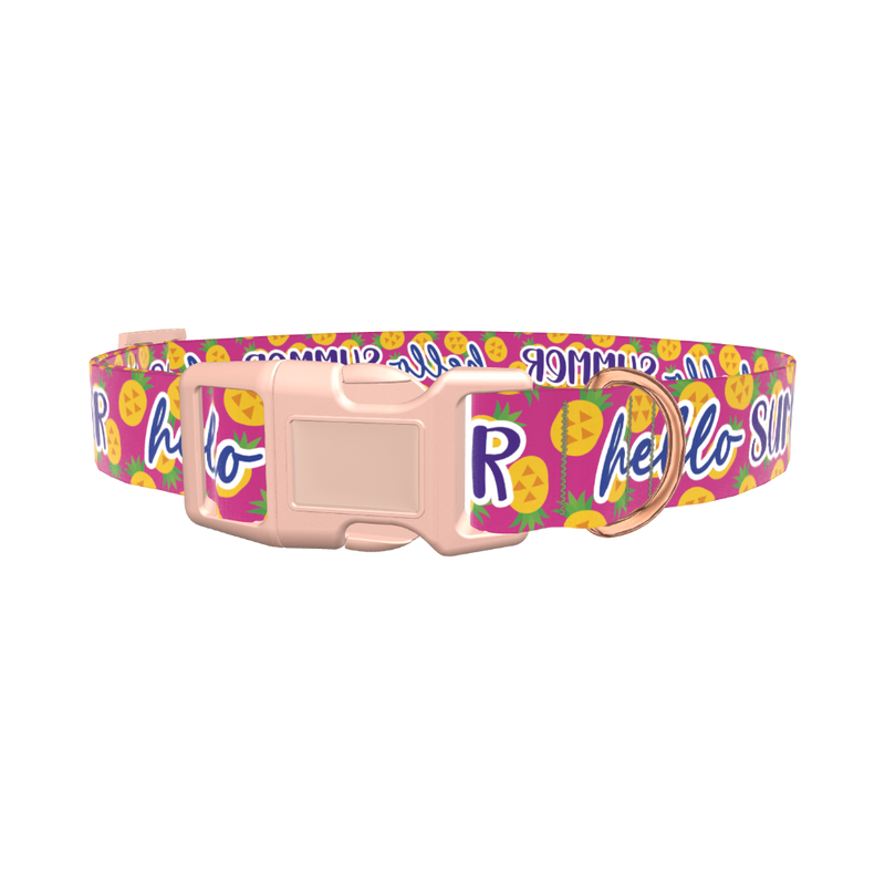 Tropical Summer Dog Collar - plastic gold
