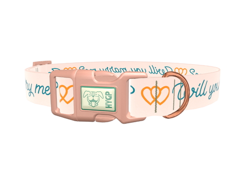 Phrase Heart Dog Collar