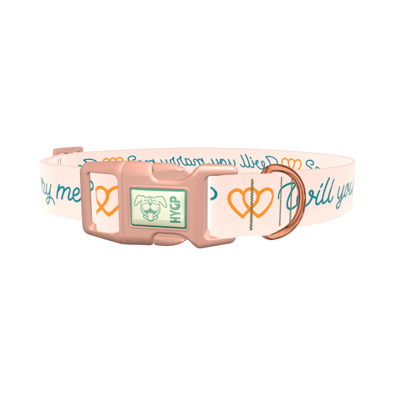 Phrase Heart Dog Collar - plastic gold