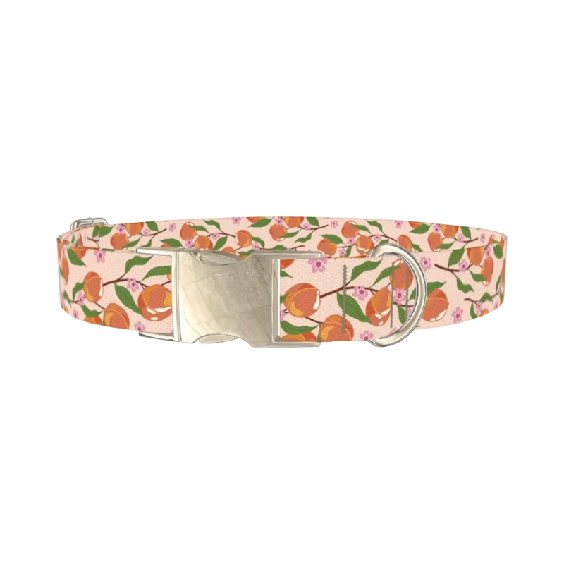 Peach Blossom Dog Collar - metal silver