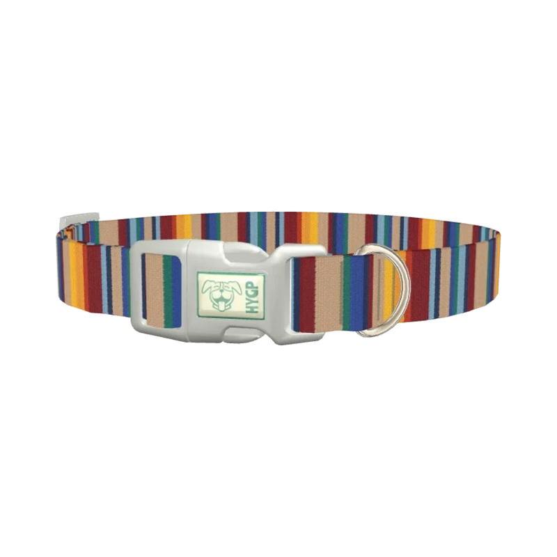 Colorful Striped Dog Collar - plastic silver