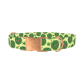 Watermelon Fruit Dog Collar - metal rose gold