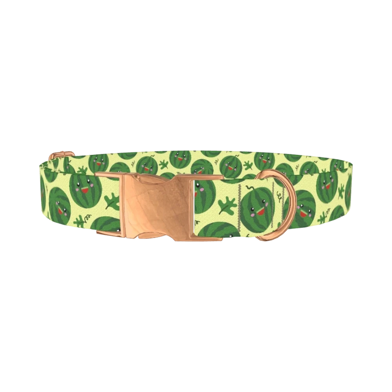 Watermelon Fruit Dog Collar - metal rose gold