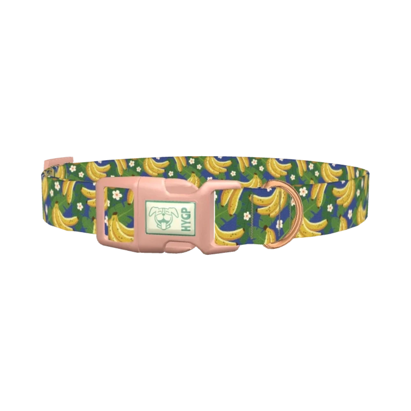 Tropical Banana Leaf Dog Collar - plastic rose gold
