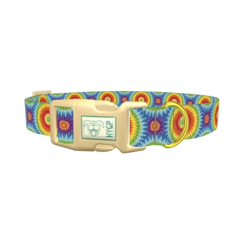 Rainbow Burst Dog Collar - plastic gold
