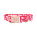 Valentine Love Heart Dog Collar - plastic gold