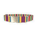 Yellow Purple Stripe Dog Collar - metal silver