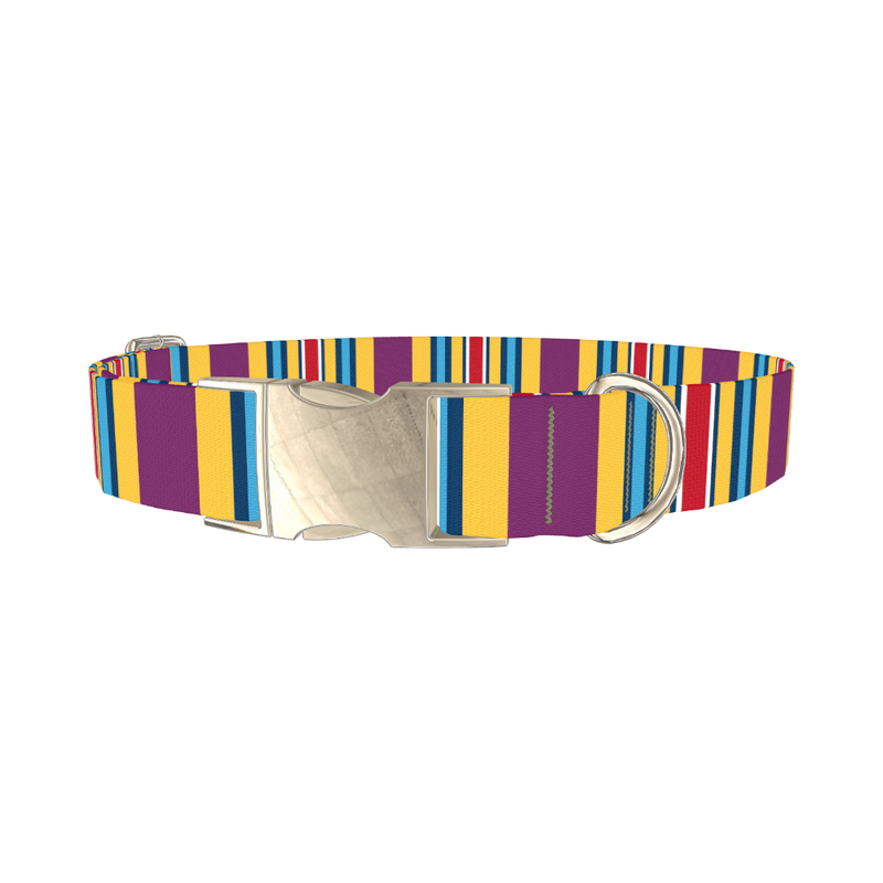 Yellow Purple Stripe Dog Collar - metal silver