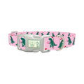 Christmas Dino Dog Collar - plastic silver