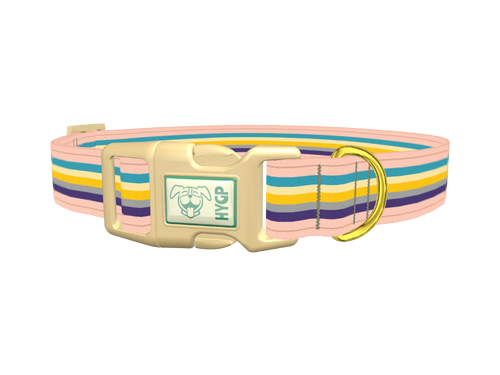 Multicolor Stripes Dog Collar