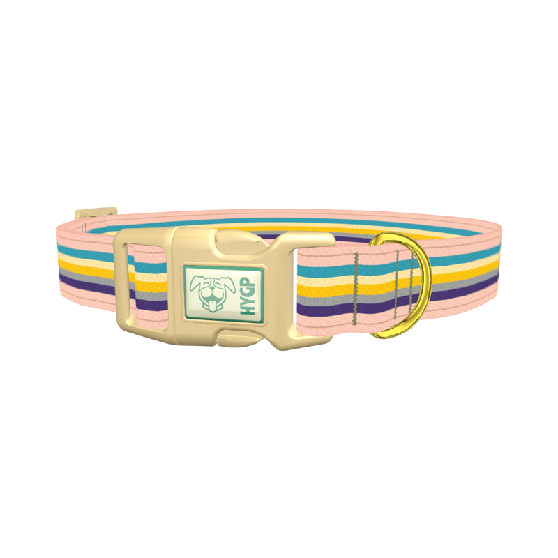 Multicolor Stripes Dog Collar - plastic gold