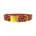 Orange Coffin Halloween Dog Collar - metal rose gold
