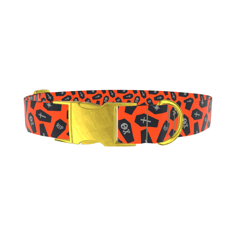 Orange Coffin Halloween Dog Collar - metal rose gold
