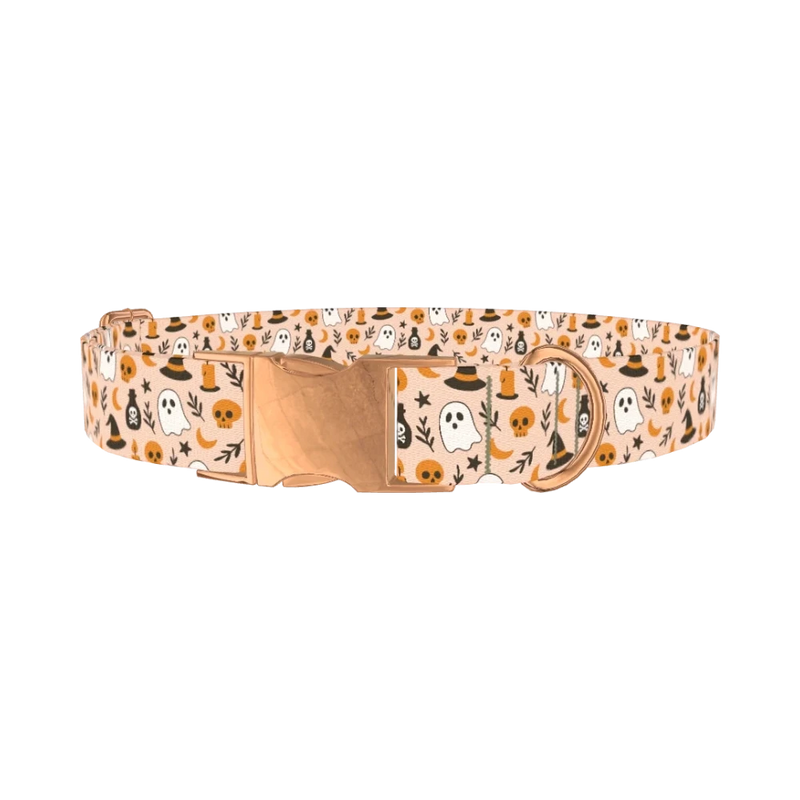 Spooky Potion Halloween Dog Collar - metal rose gold