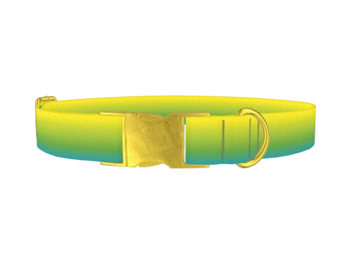 Gradient11_YellowBlue