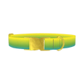 Gradient Dog Collar - metal gold