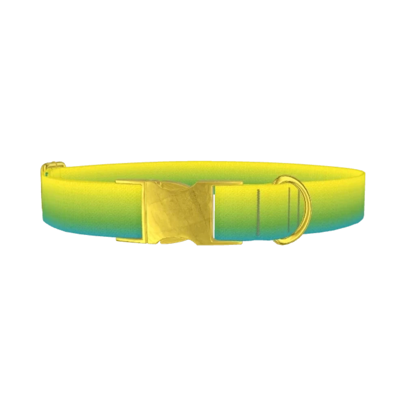 Gradient Dog Collar - metal gold