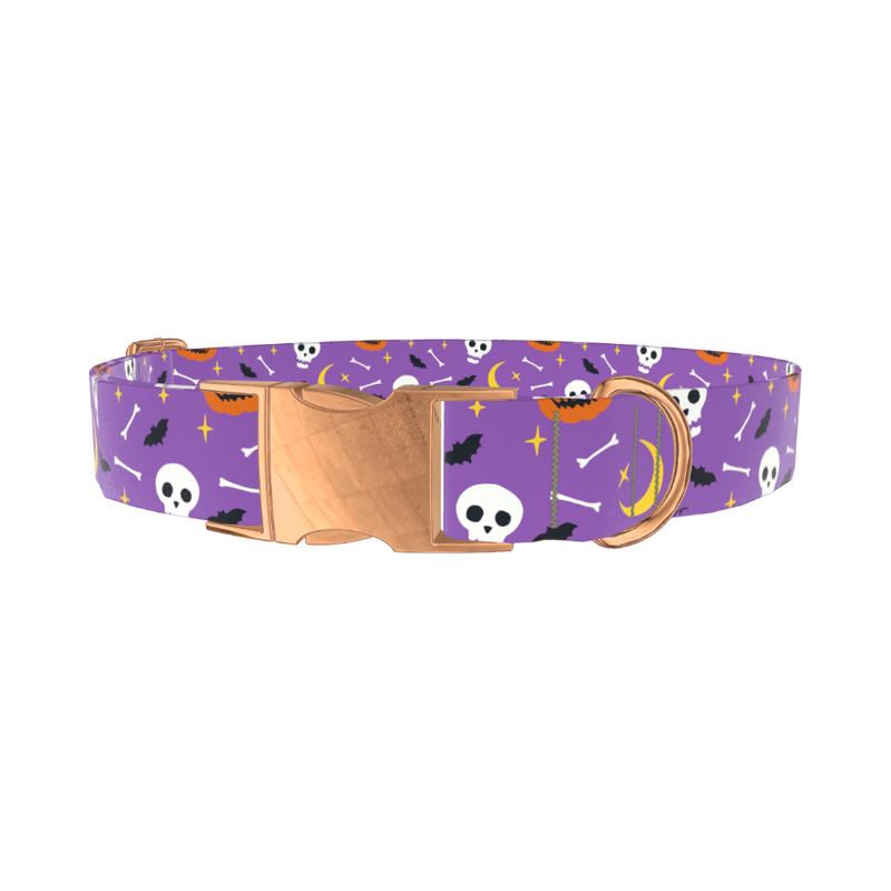 Halloween Moon Dog Collar - metal silver