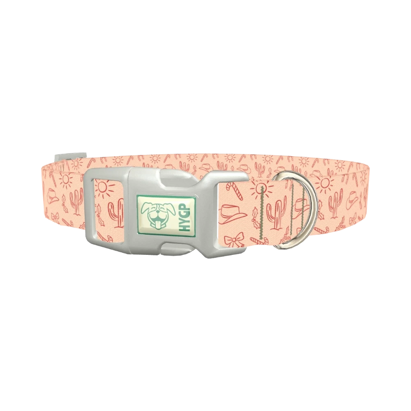 Holiday Western Cactus Dog Collar - plastic silver