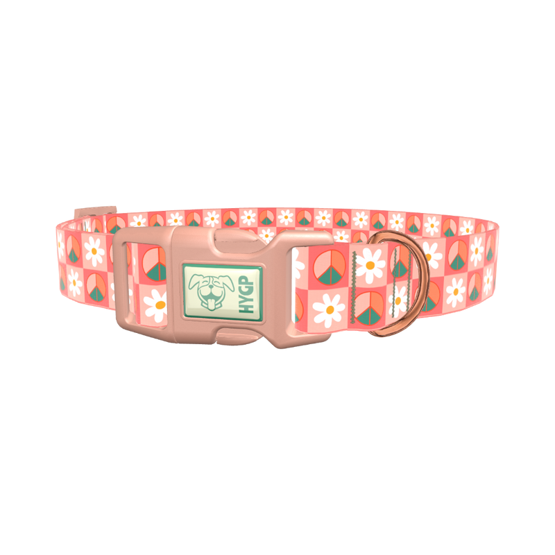 Peace Floral Dog Collar - plastic gold