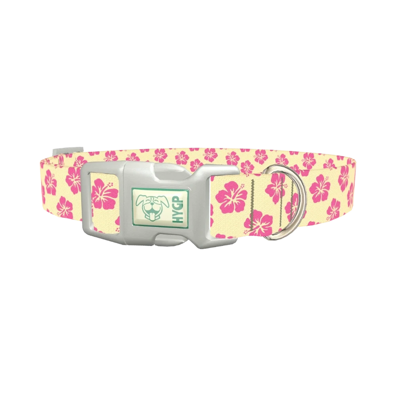 Floral Hibiscus Dog Collar - plastic silver