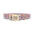 Colorful Bat Pattern Dog Collar - plastic rose gold