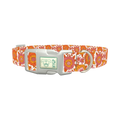 Orange Floral Burst Dog Collar - plastic silver
