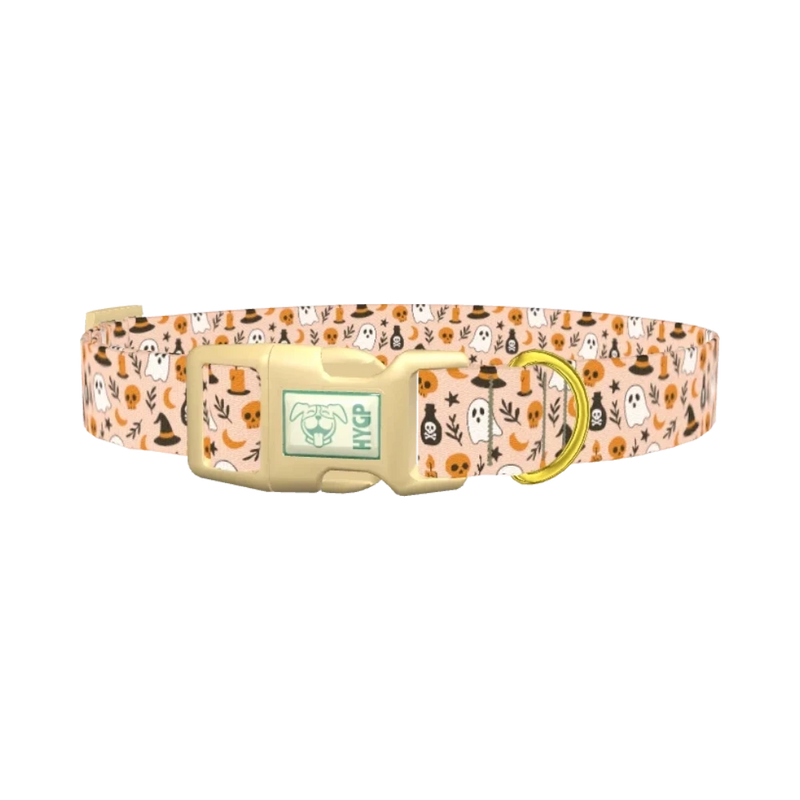 Spooky Potion Halloween Dog Collar - plastic gold