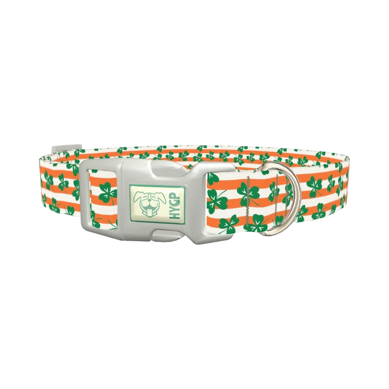 St. Patrick's Clover Stripe Dog Collar - plastic silver