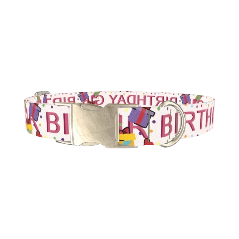 Birthday Celebration Dog Collar - metal silver