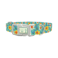 Floral Narcissus Dog Collar - plastic silver